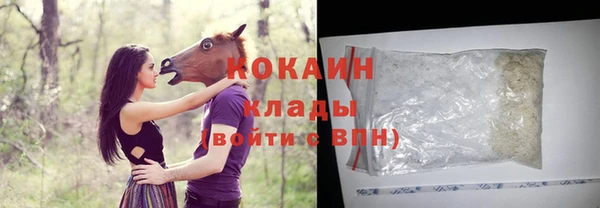 гидра Богородицк