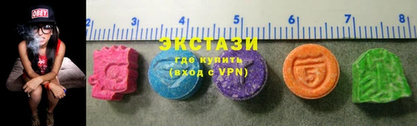 гидра Богородицк