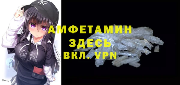 гидра Богородицк