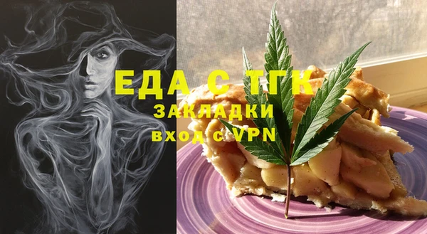 гидра Богородицк