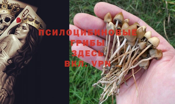 соль ск Богданович