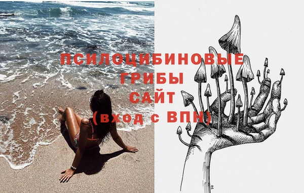 метадон Богородск