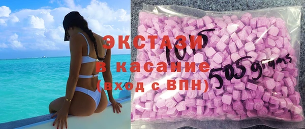 гидра Богородицк