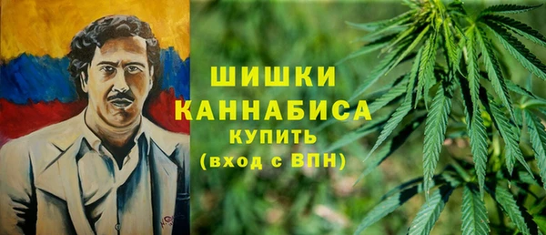 гидра Богородицк