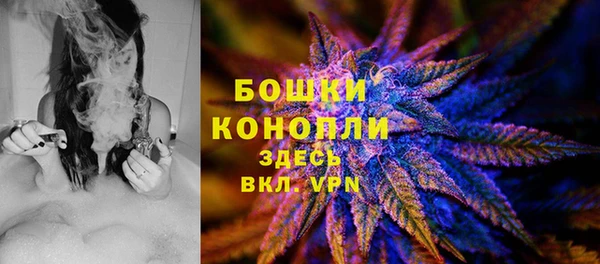 гидра Богородицк