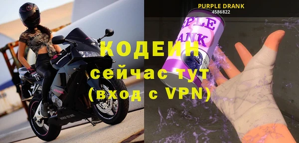 гидра Богородицк