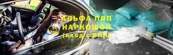 соль ск Богданович